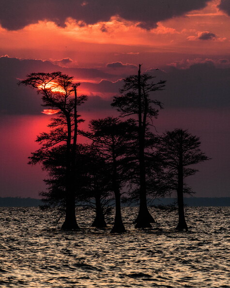 IMG_7045-Edit-2.jpg